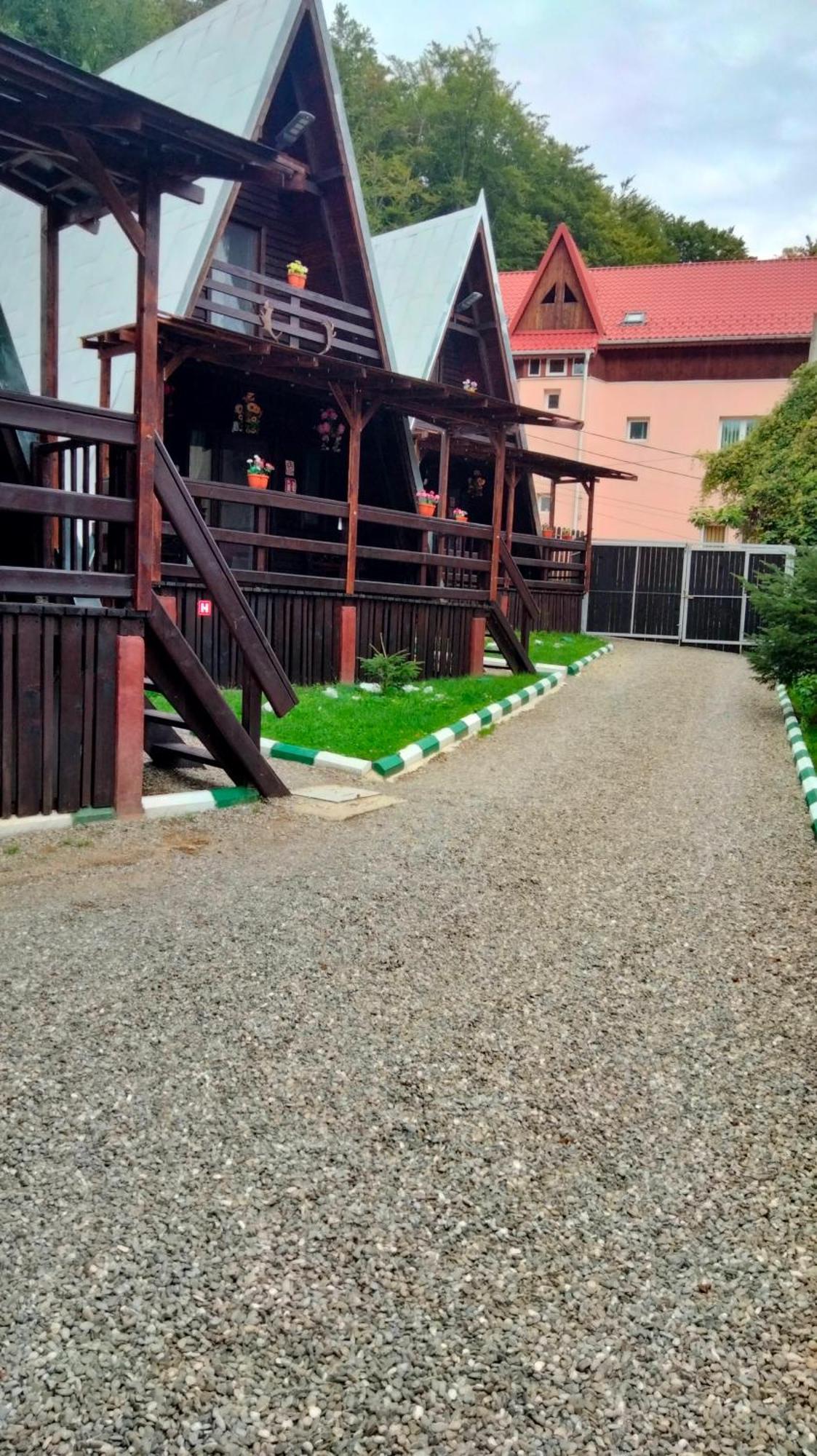 Cabane Sinaia Zimmer foto